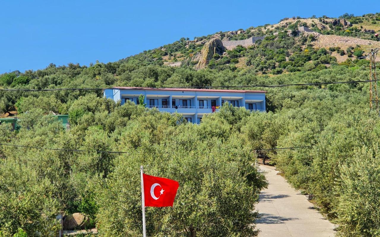 Sokakagzi Assos Nazan Motel Restoran Beach מראה חיצוני תמונה