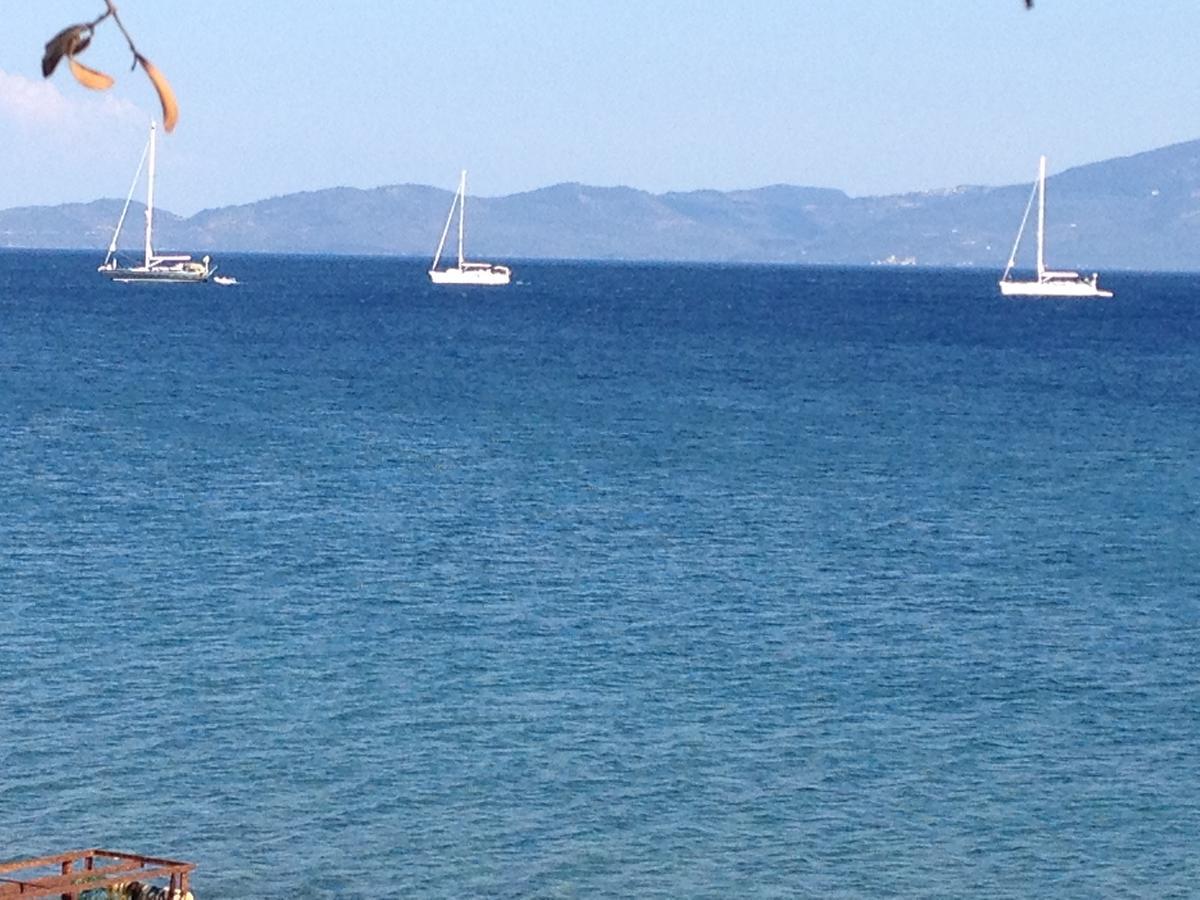 Sokakagzi Assos Nazan Motel Restoran Beach מראה חיצוני תמונה