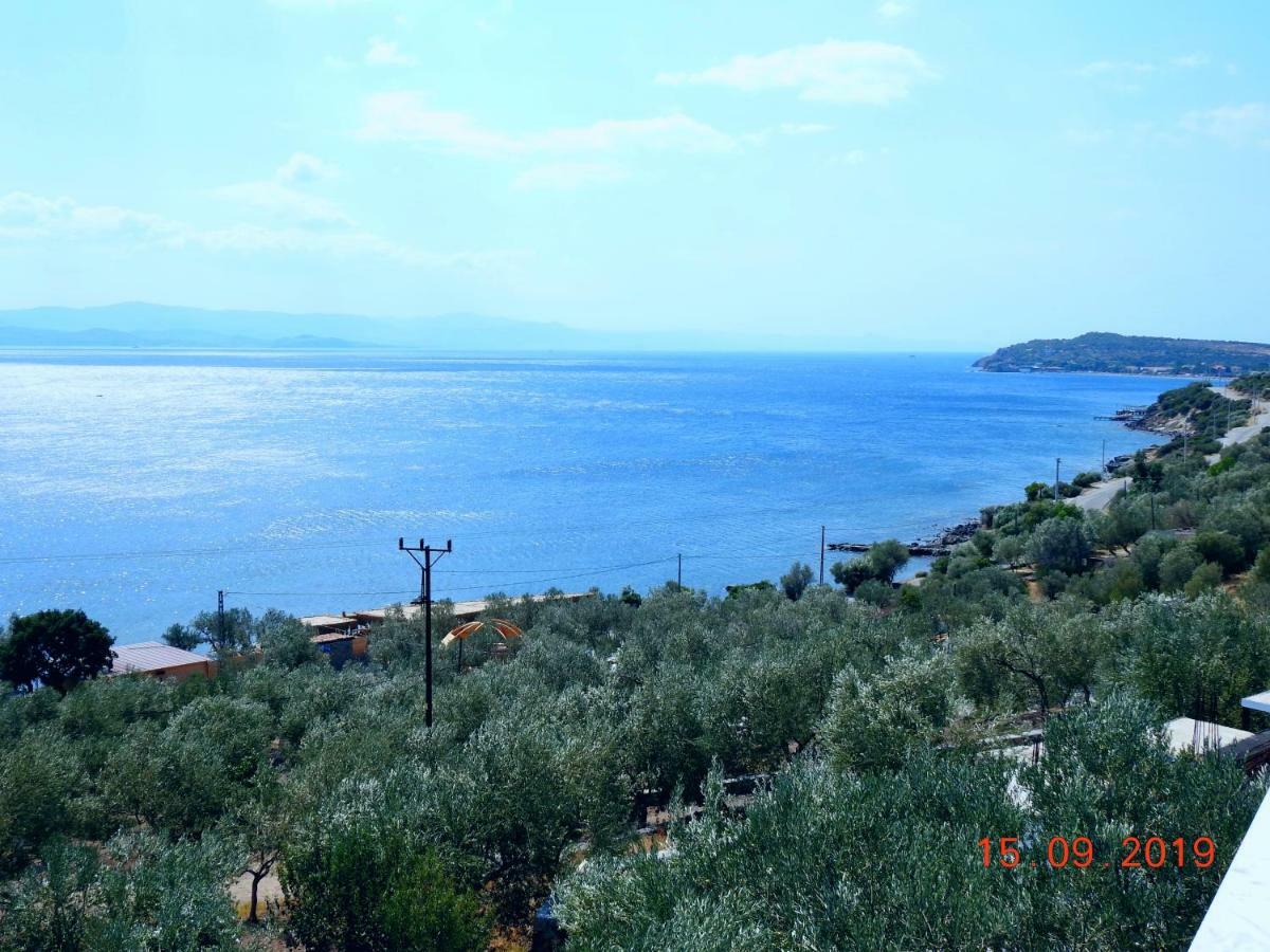 Sokakagzi Assos Nazan Motel Restoran Beach מראה חיצוני תמונה
